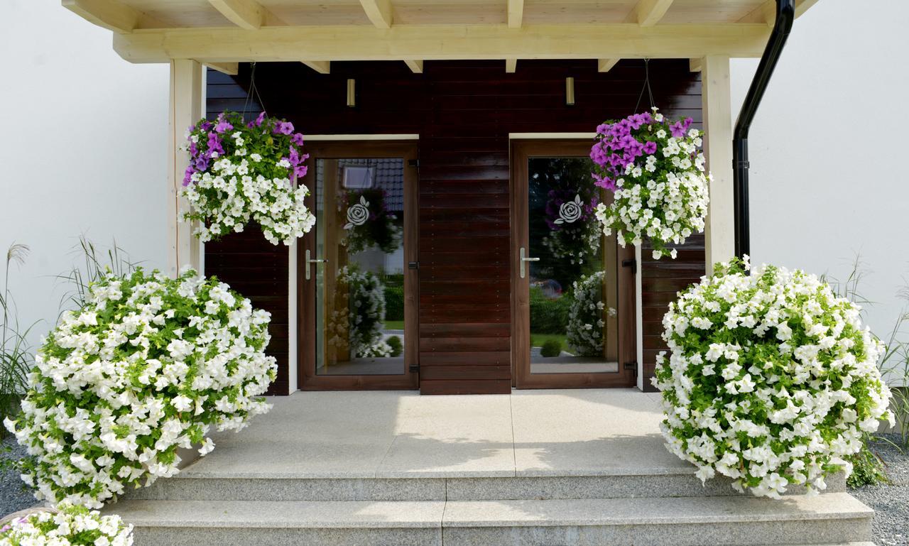 Apartamenty U Harrego II Przy Stawie Spa Klimatyzacja,Balkon,Sauna , Balia, Ogrod,Parking Kudowa-Zdrój Kültér fotó