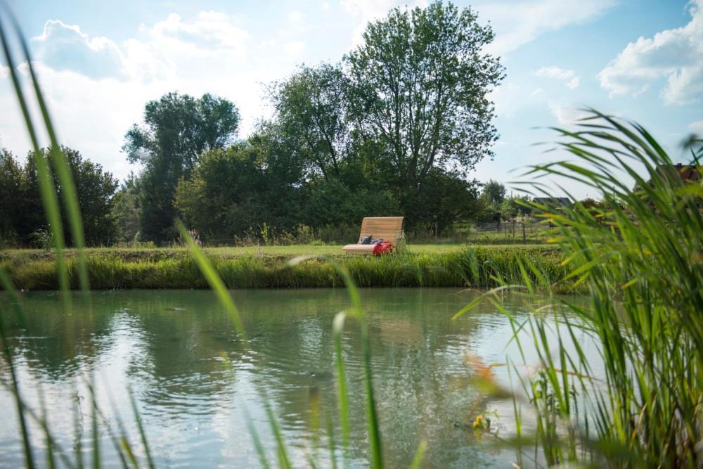 Apartamenty U Harrego II Przy Stawie Spa Klimatyzacja,Balkon,Sauna , Balia, Ogrod,Parking Kudowa-Zdrój Kültér fotó